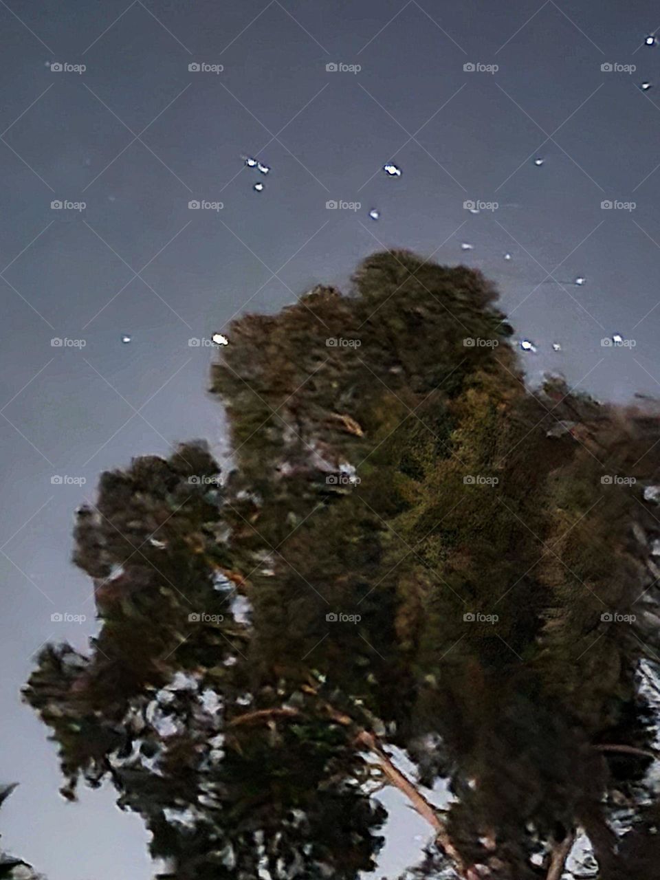 anomaly in the skies