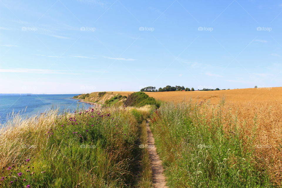 Landscape by the coast, Skåne, Sweden