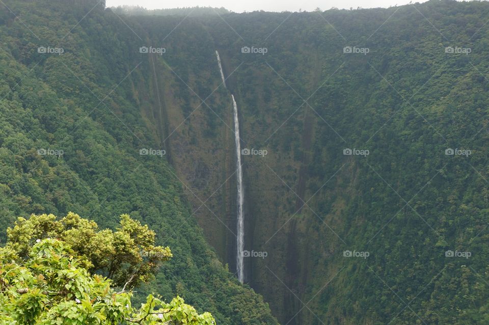 Waterfall in Waipi'o valley on the Big Island in Hawaii. 
