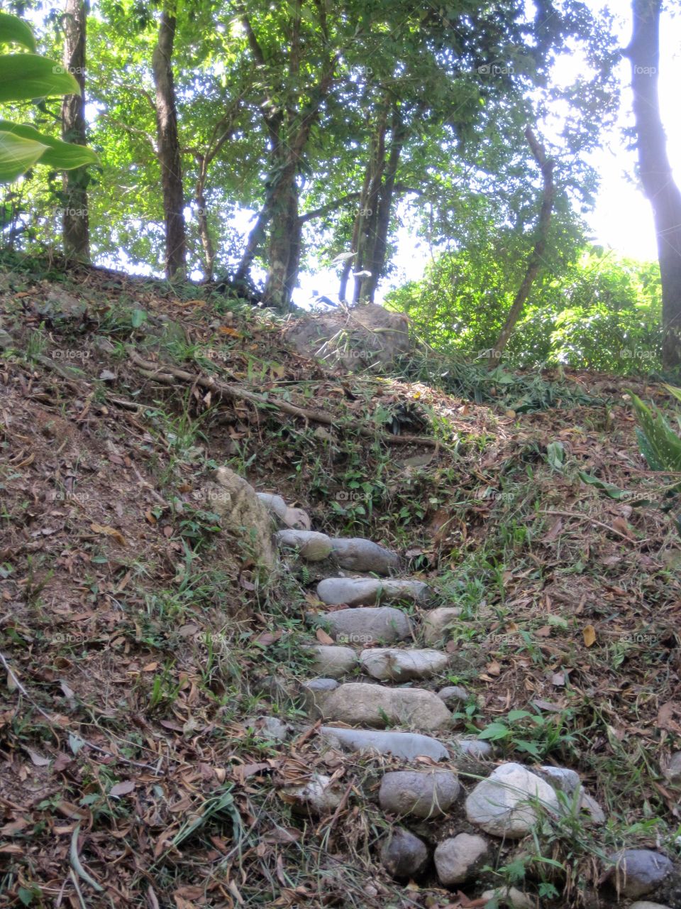 Stone Stairs