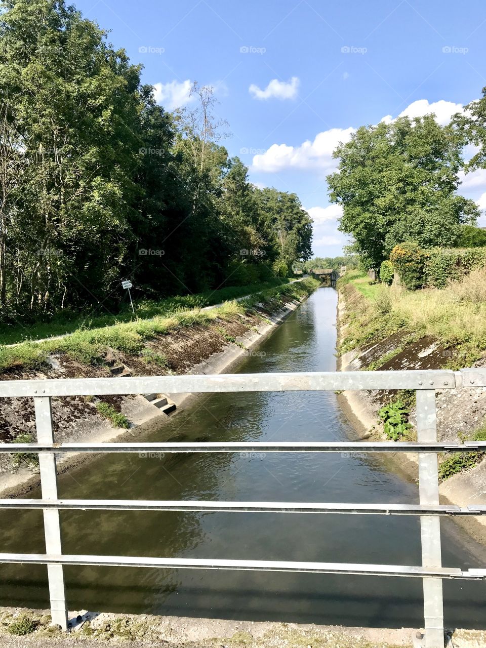 Trees around us...small bridge...river...ditch