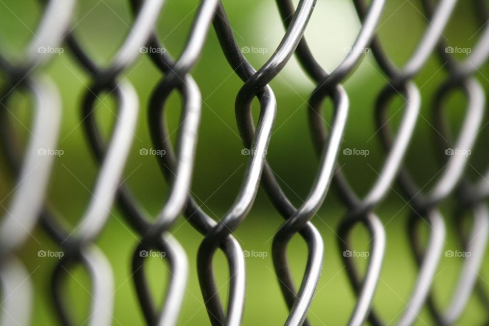 Wire Fence