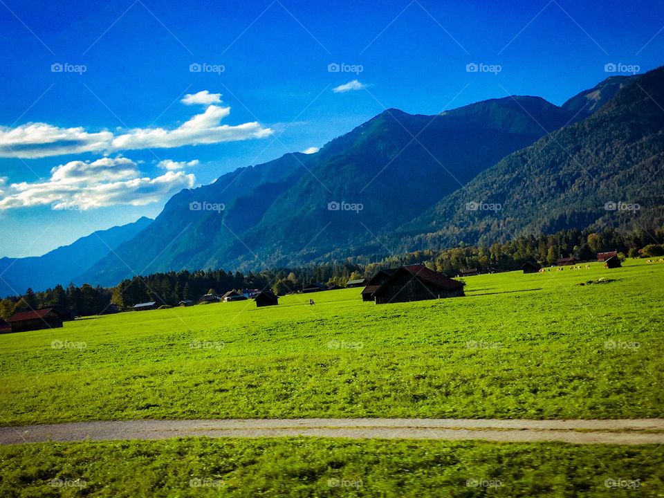 The meadows of Bavaria