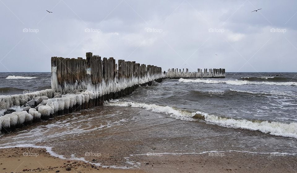 Sea, Beach, Water, Ocean, Seashore