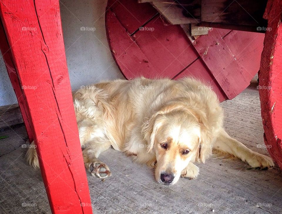 Watching the Customers