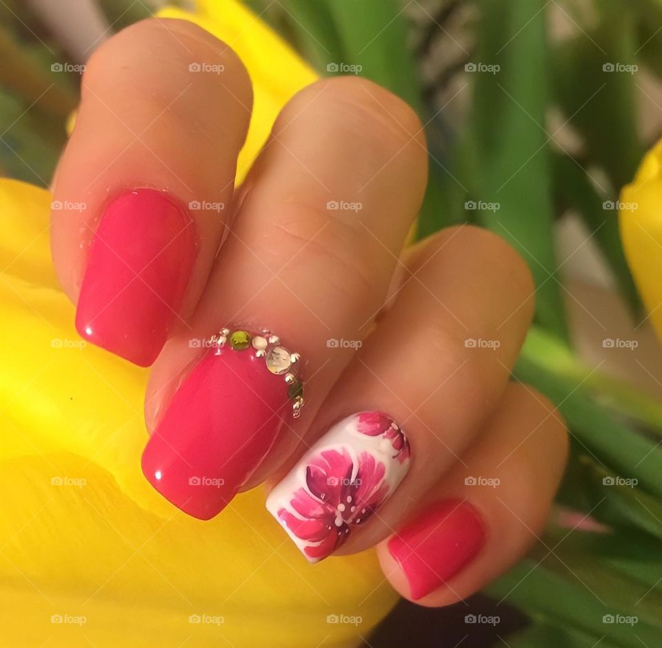female hands with beautiful pink bright manicure drawing flowers