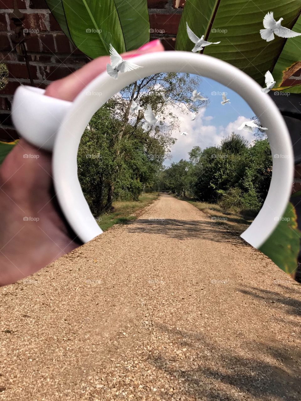 Road in a cup