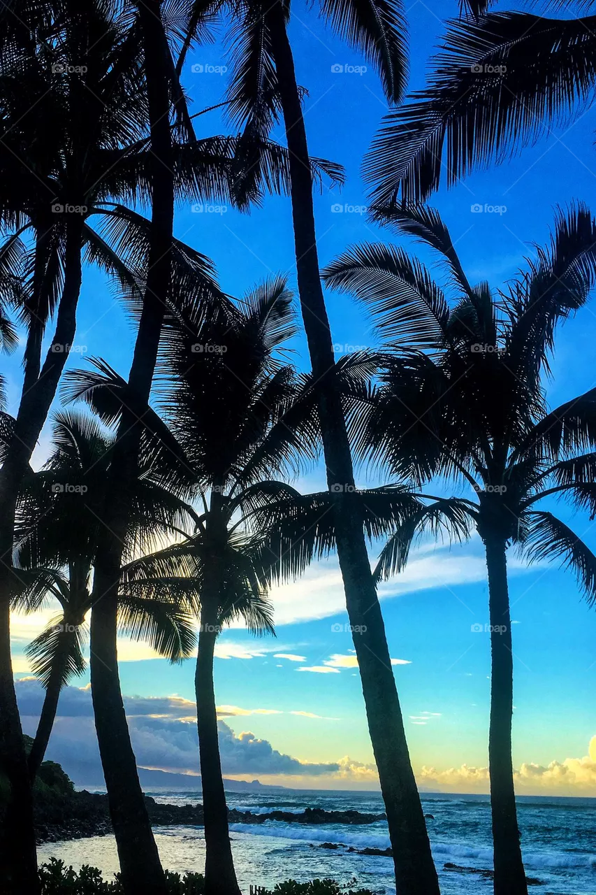 Hawaii 