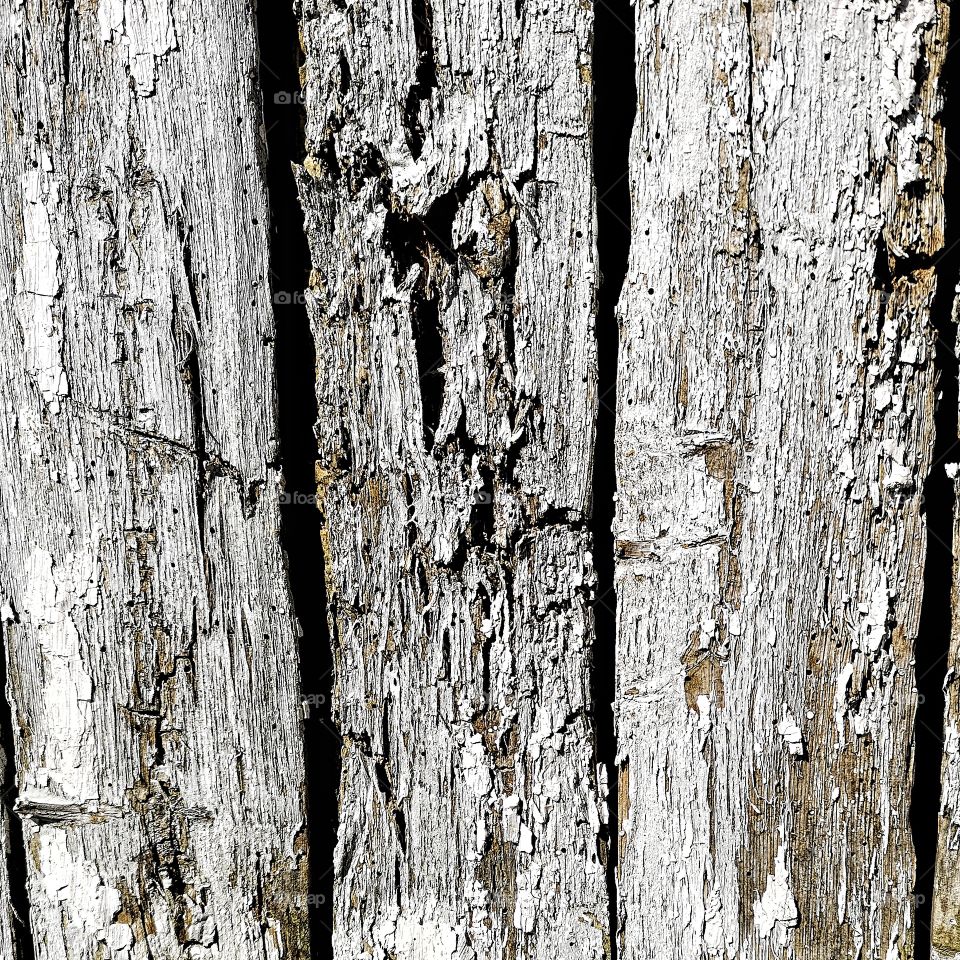 Wooden background