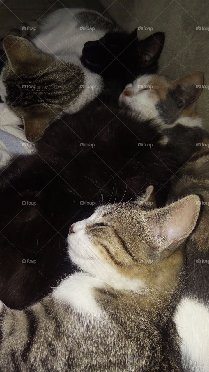 Hora de dormir...💙