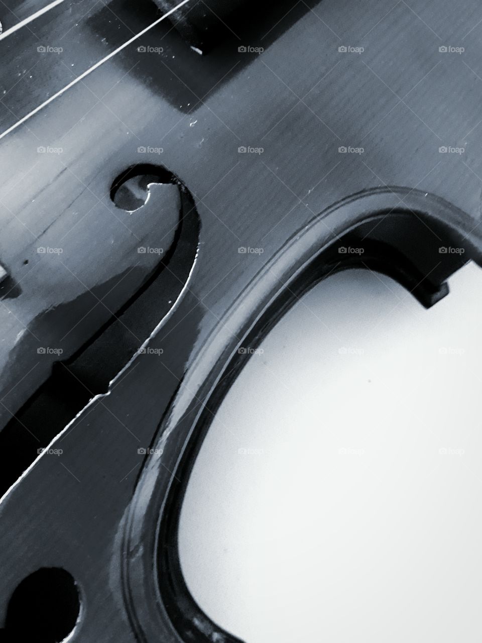 Waist of a Violin in black and white