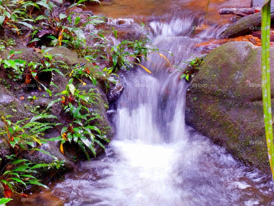 Small flowing waterfall