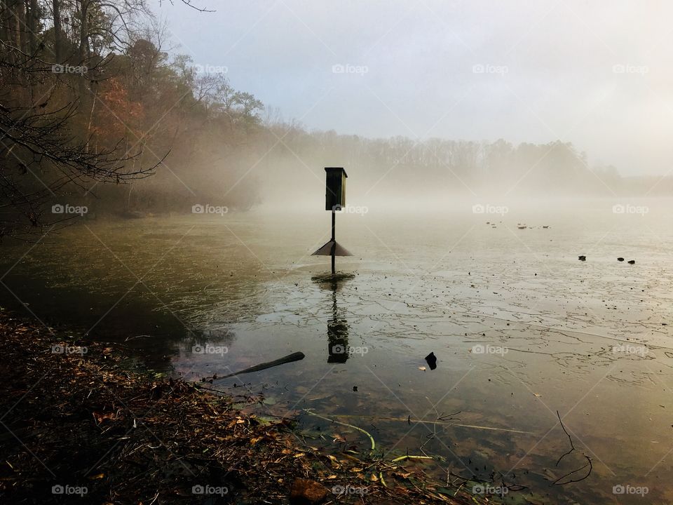 A wood duck box silhouette stands out as fog settled on the lake 