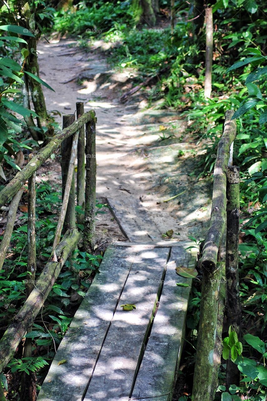 Empty wooden walkway