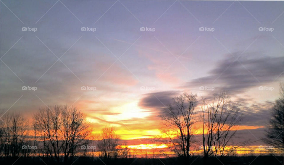 Sunset through the trees