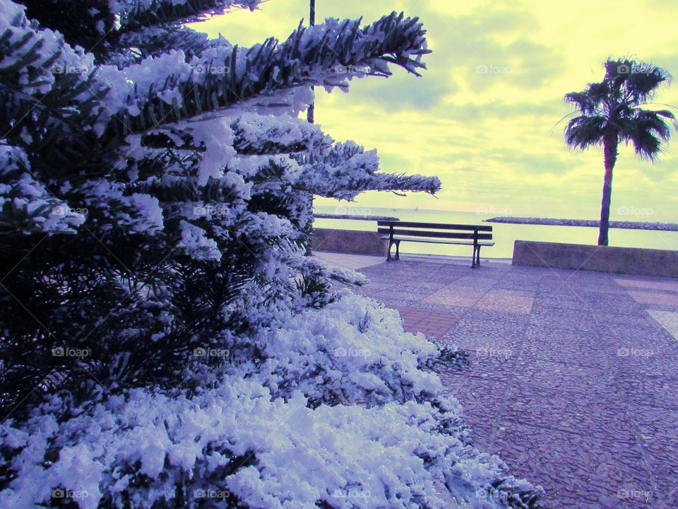 Snow and sea