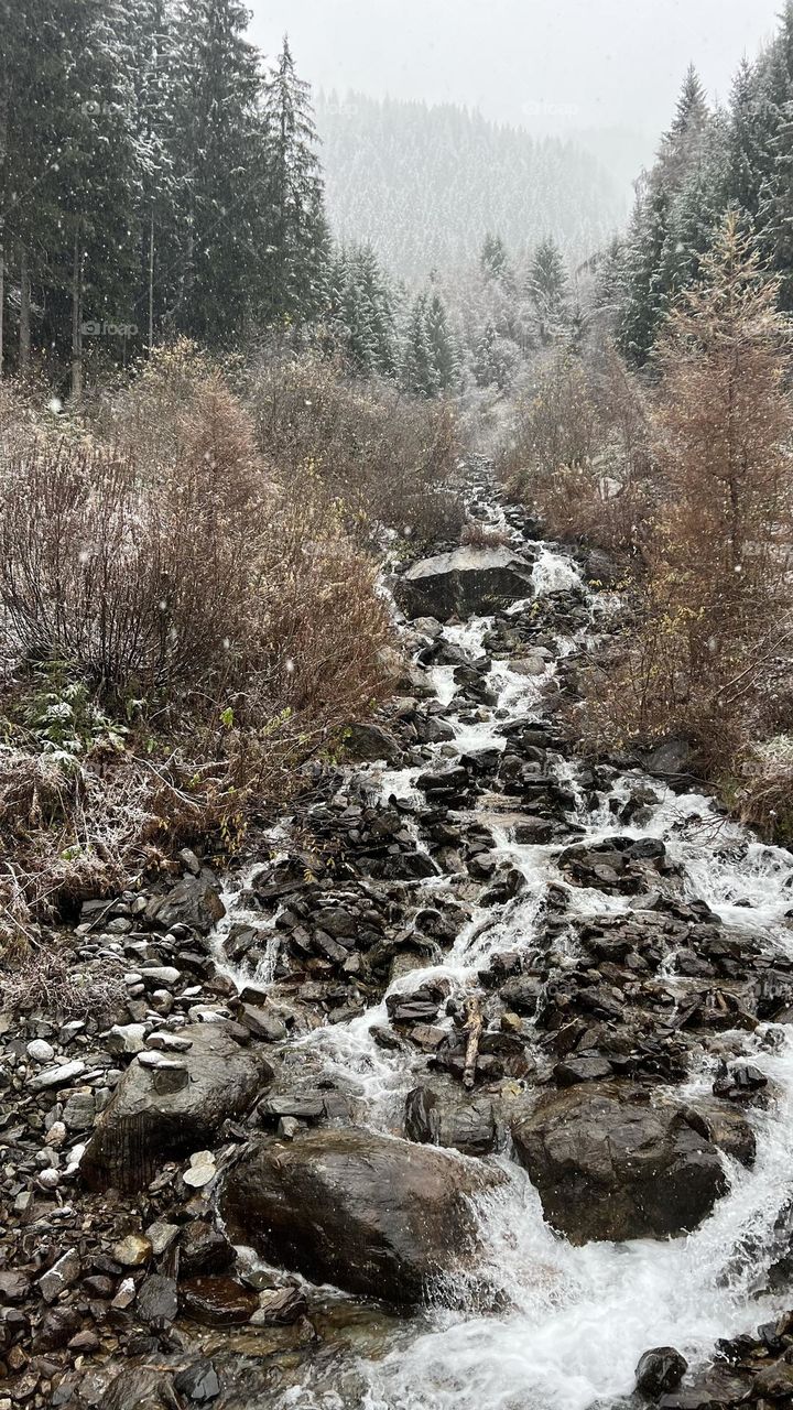 Mountain stream