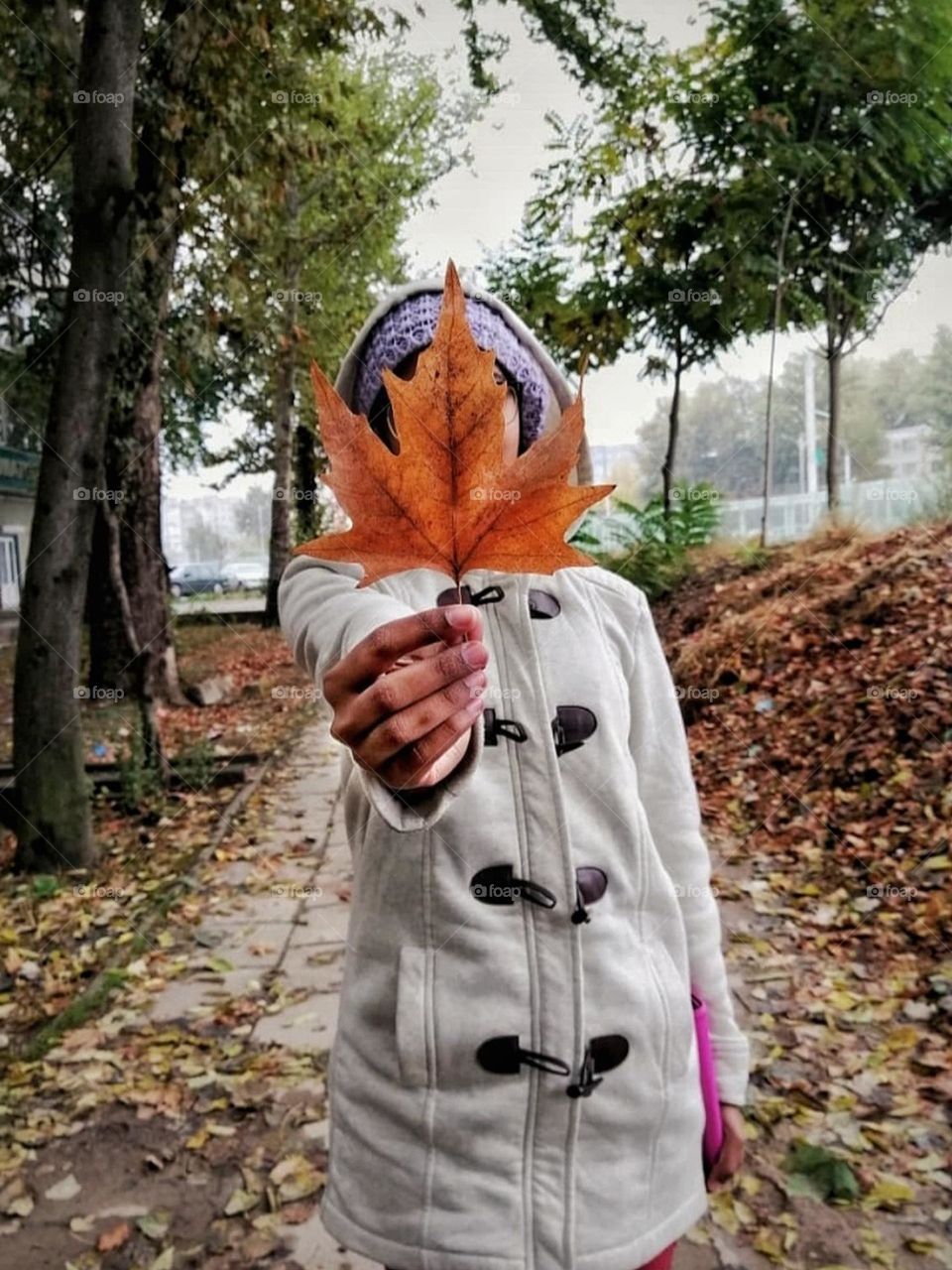 Beautifully aged leaf 🍁
