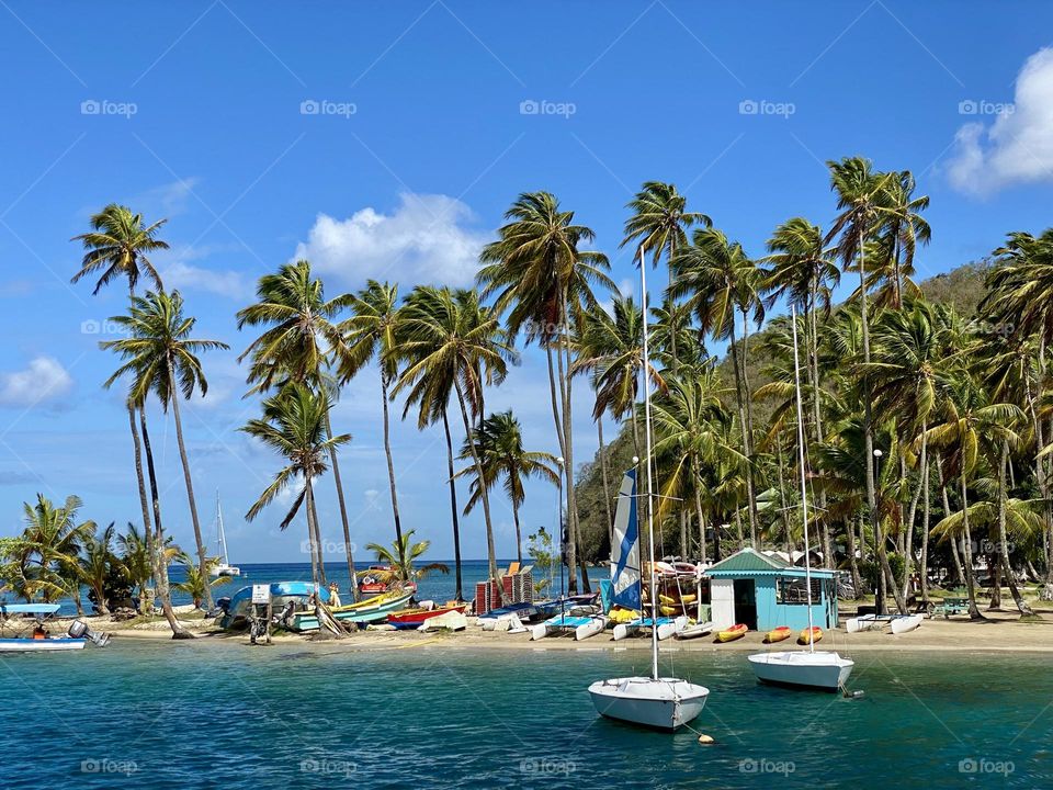 A small peninsula covered in palm trees jutting out from a hill into a harbor