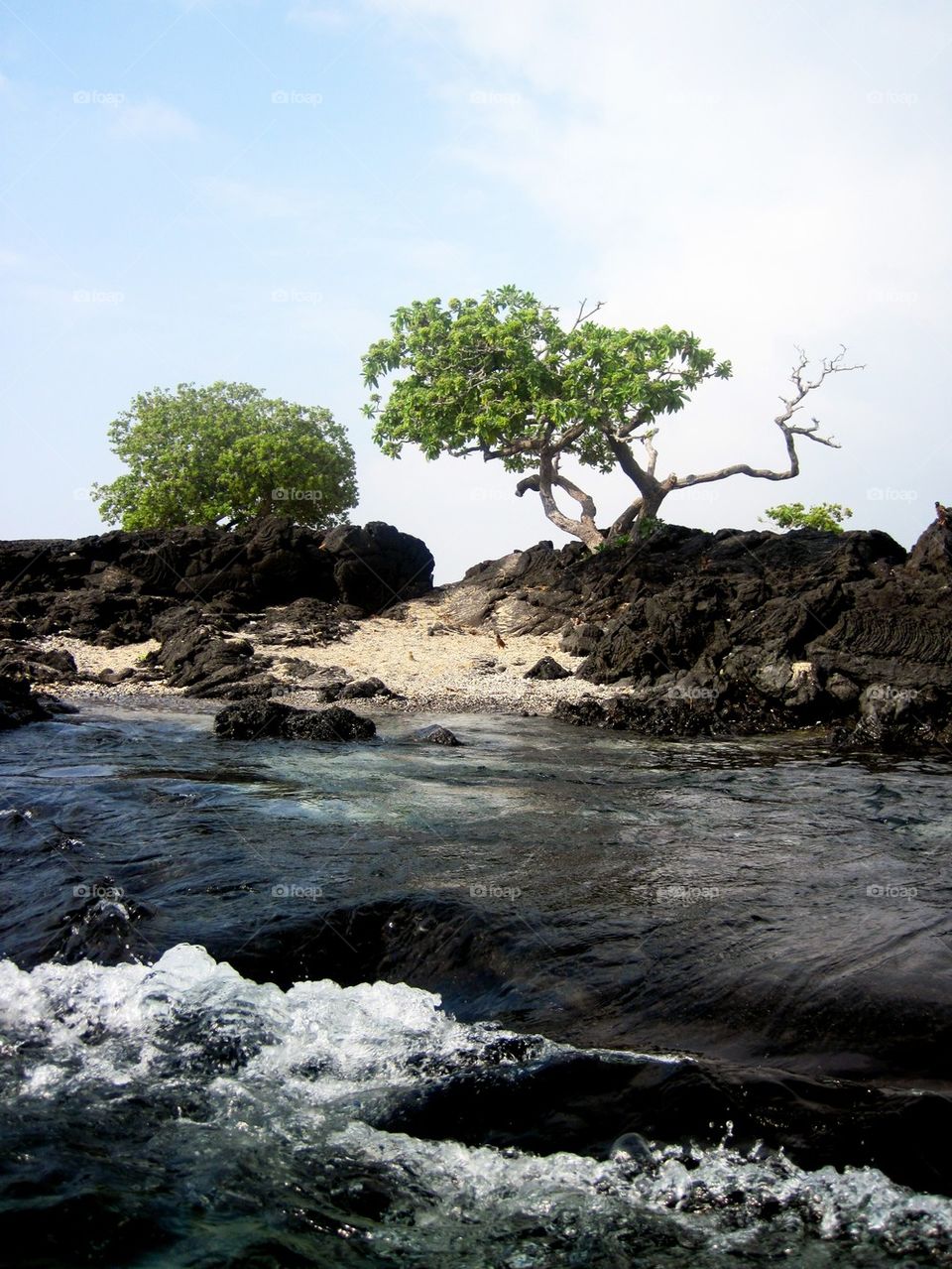 Scenic view of river, hawaii