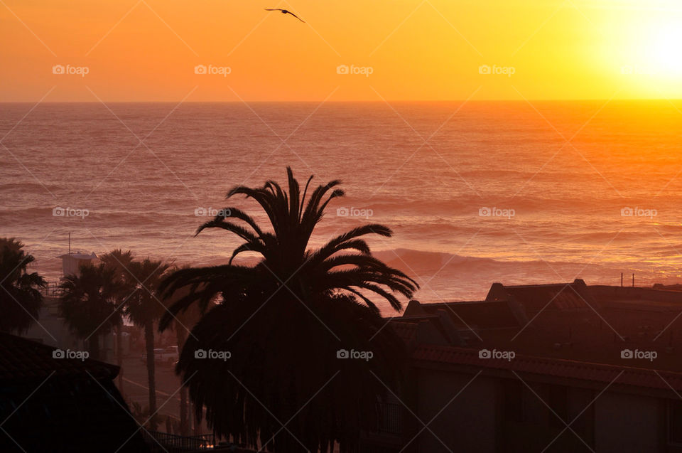 sunset california cove lajolla by sgkraus