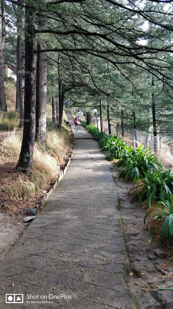 Path