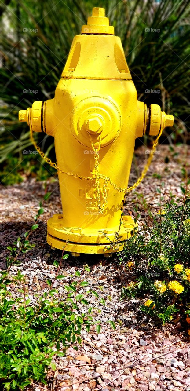 Fire hydrant