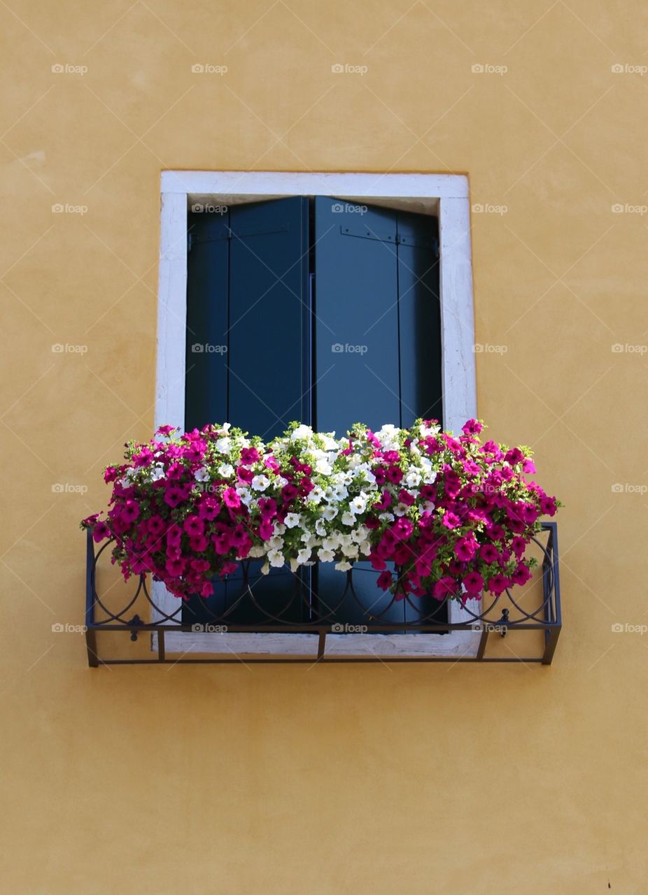 Shuttered window, Venice