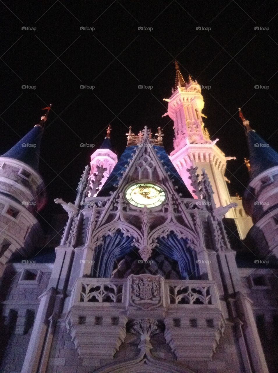 The prince's castle. This is a pic of Cinderella's castle in Disney in Orlando FL