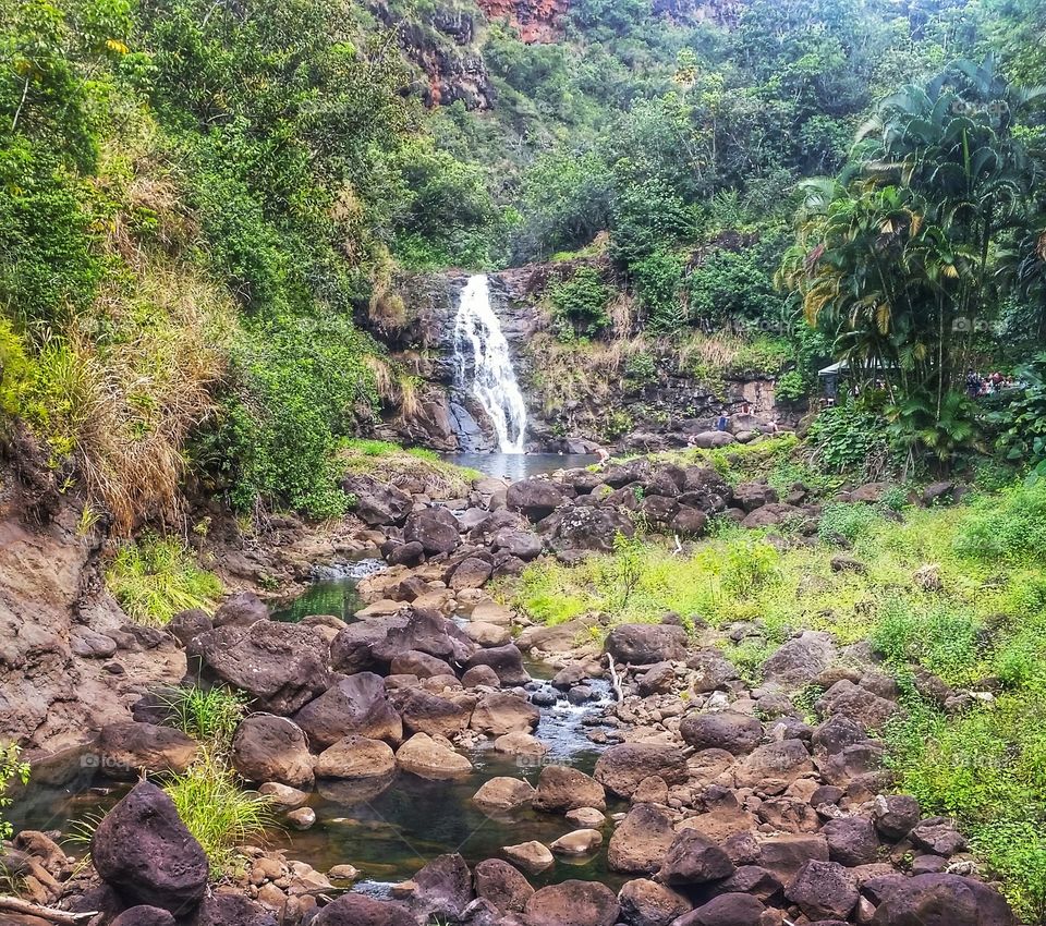 Chasing Waterfalls