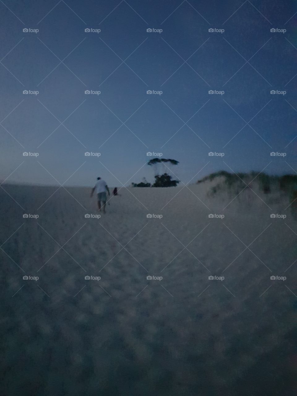 Late afternoon in the dunes Lagoa of Conceição
