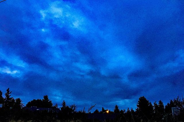 Early Fall Morning 