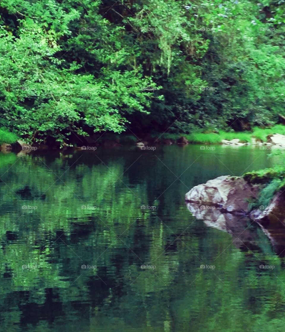 reflections in green