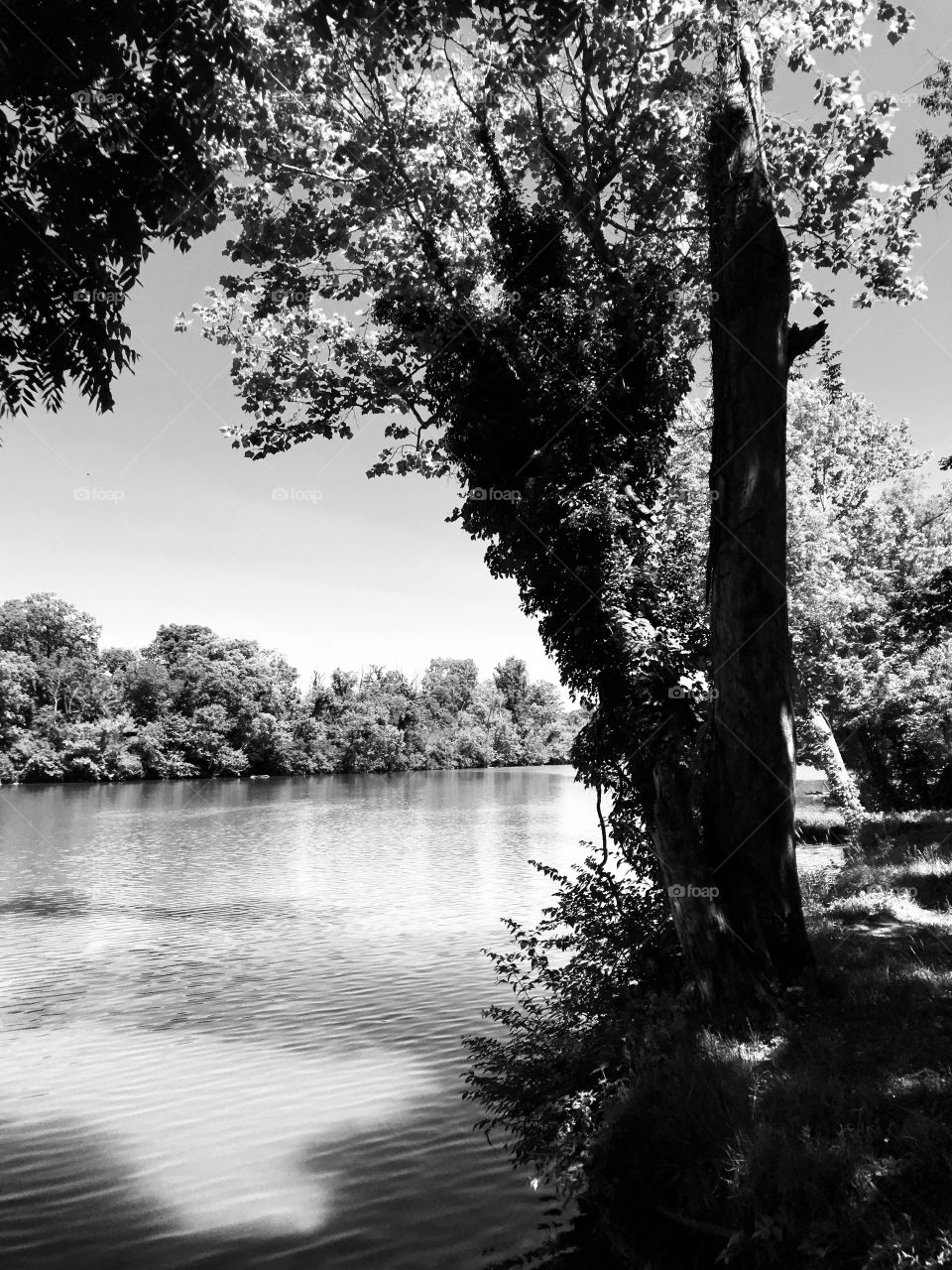 Black and white lake 