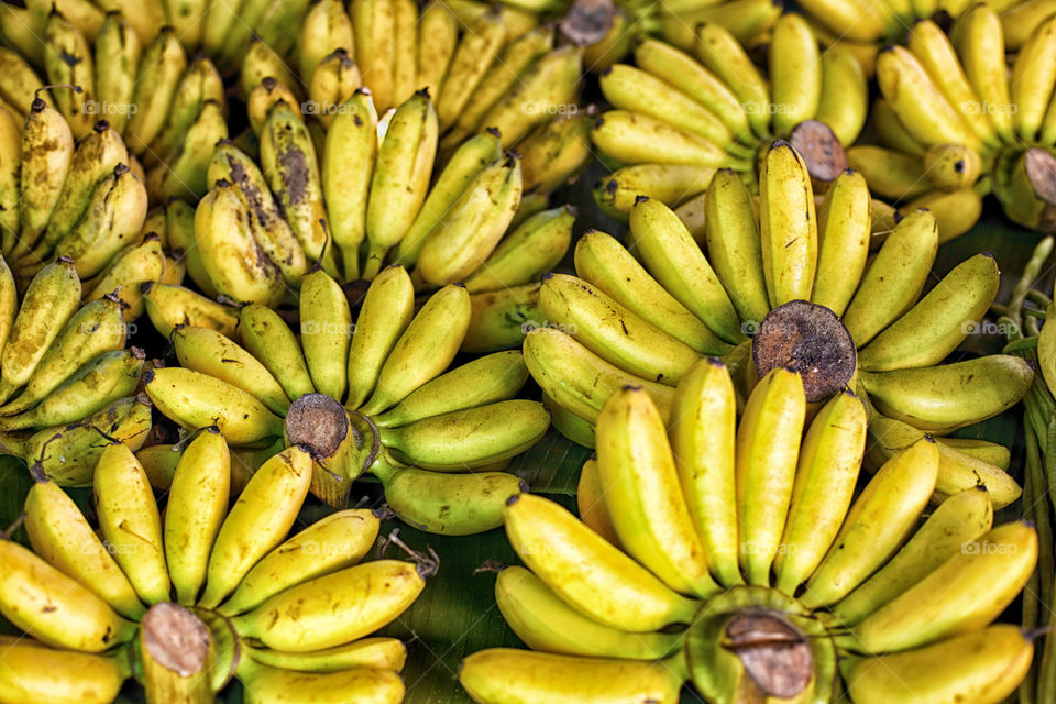 Bananas. bunches of bananas at the local market