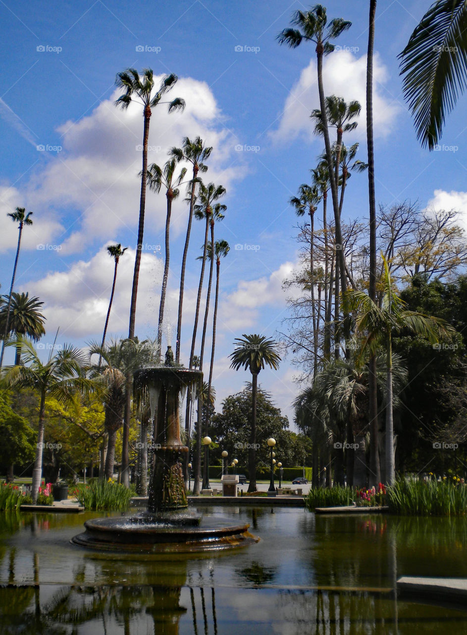 park, Los Angeles, California