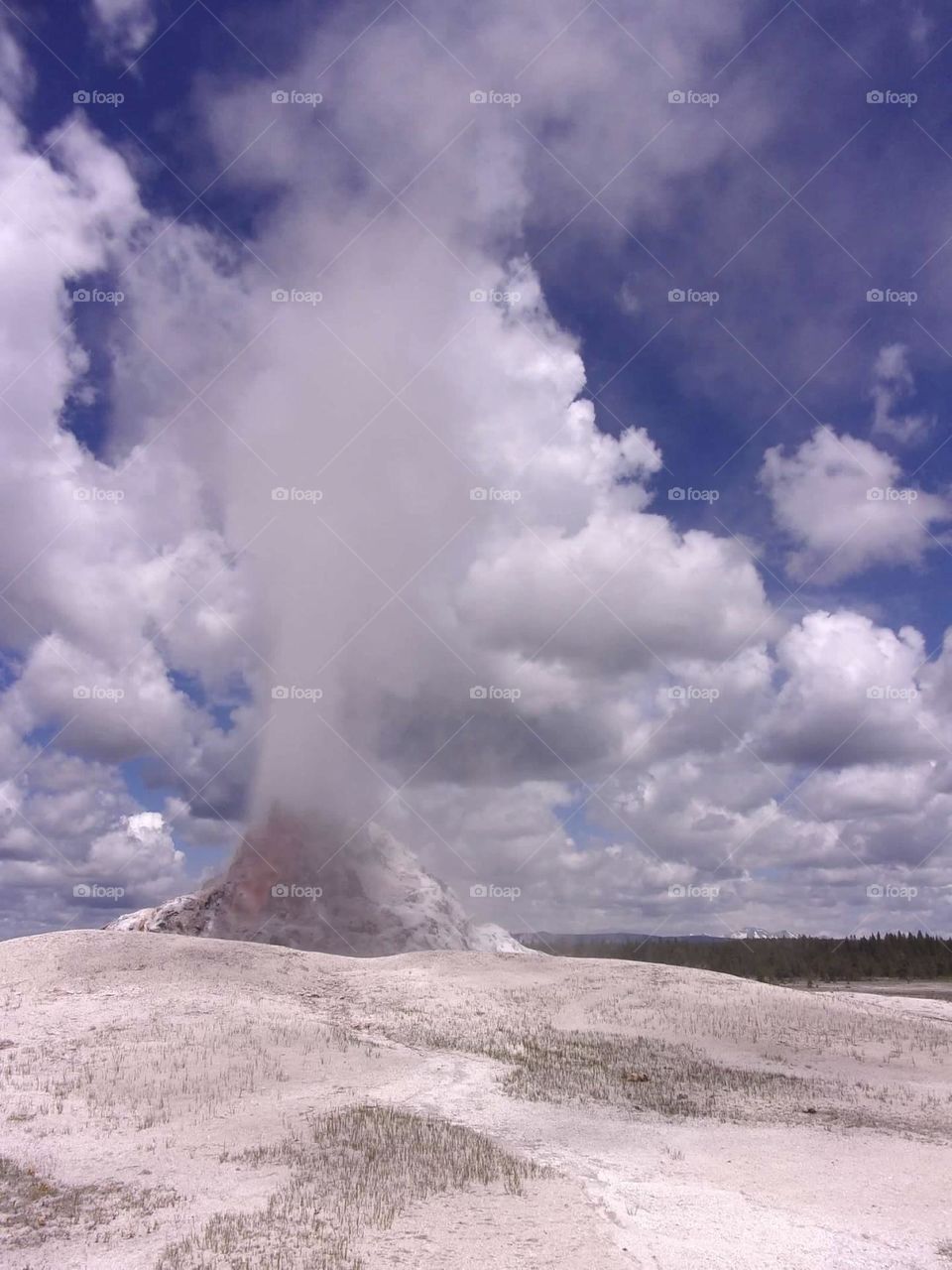 Geyser at Yellowstone National Park. 