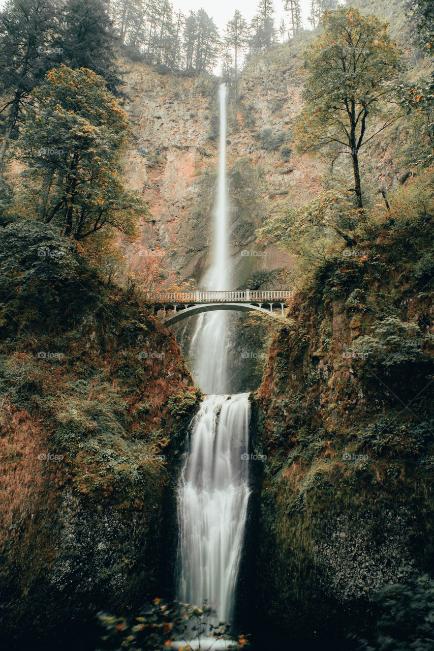 Multnomah Falls Oregon