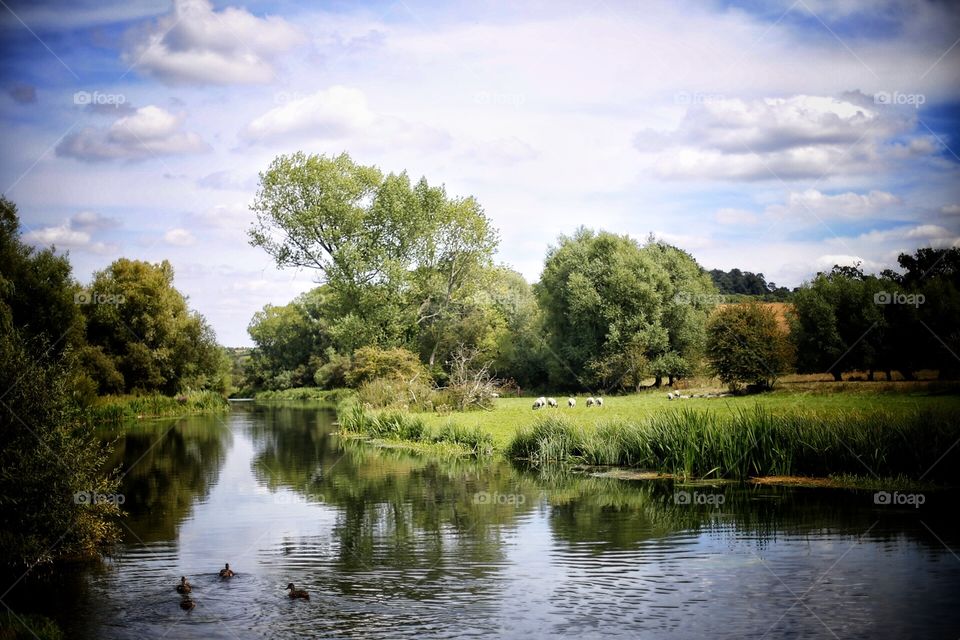 the river avon