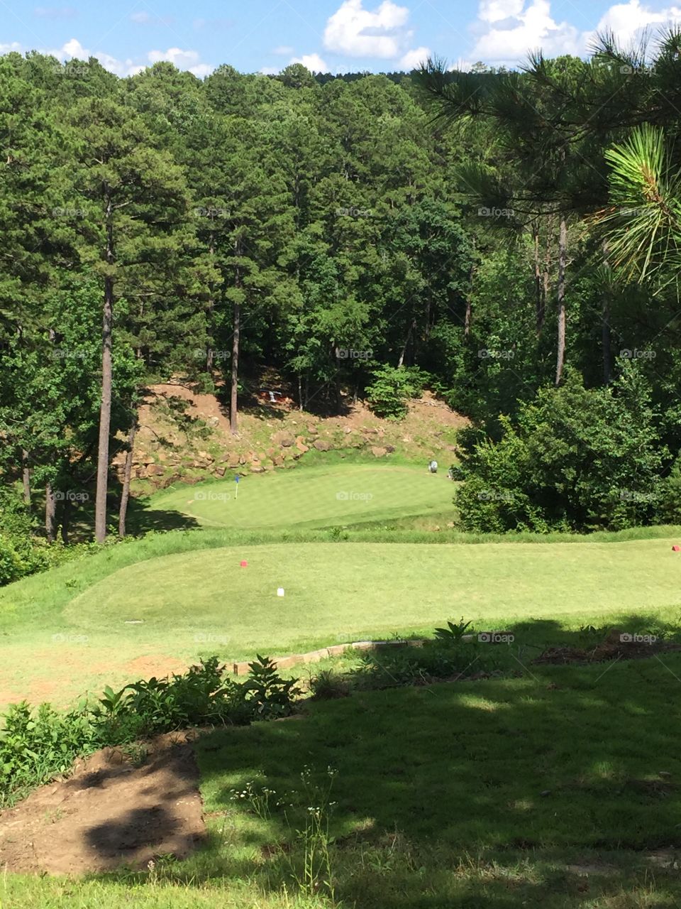 Tannenbaum #12. Short par 3 all down hill.  Postage stamp green 