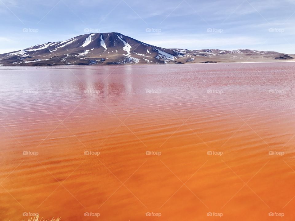 Laguna colorada in Bolivia