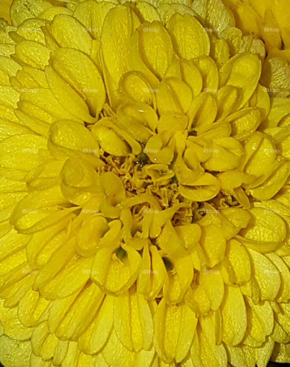 Yellow power