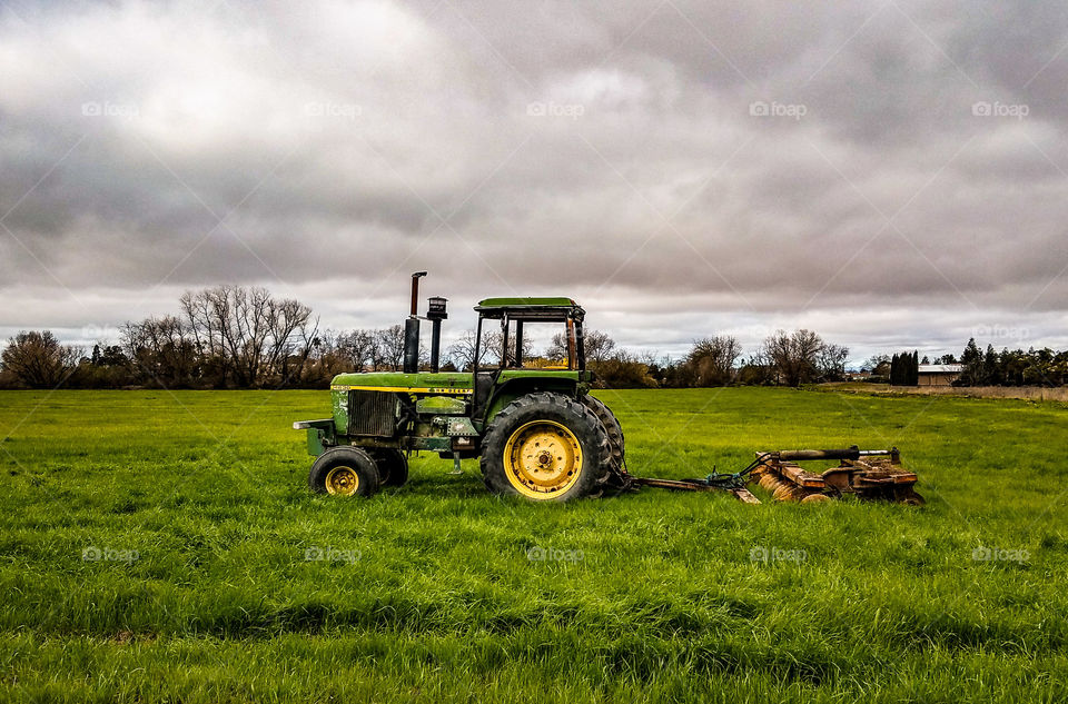 Agriculture, Field, Farm, Rural, Countryside