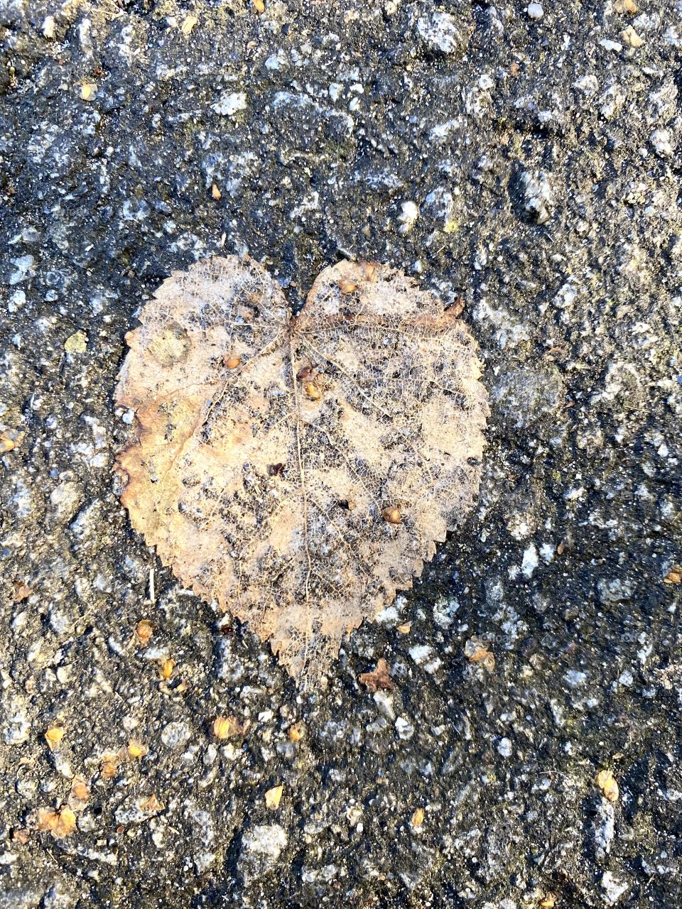 Heart in nature