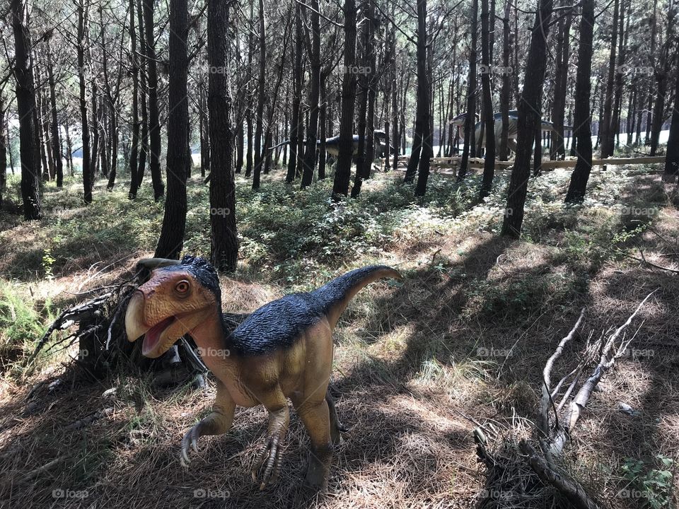 Dino parque Lourinhã 