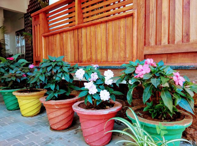 gardening flowers