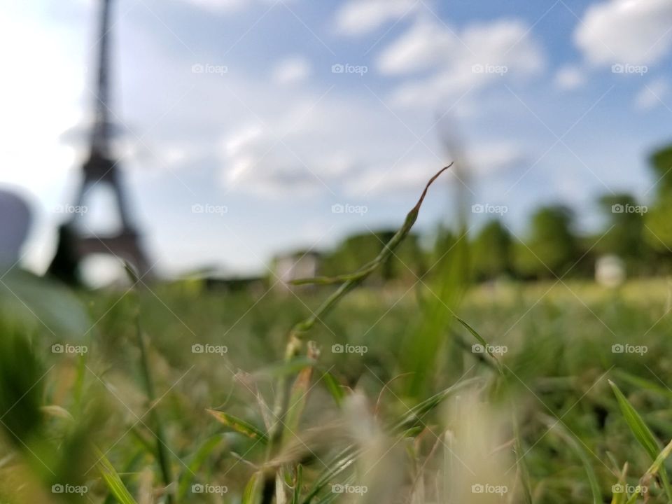 out of focus Eiffel tower