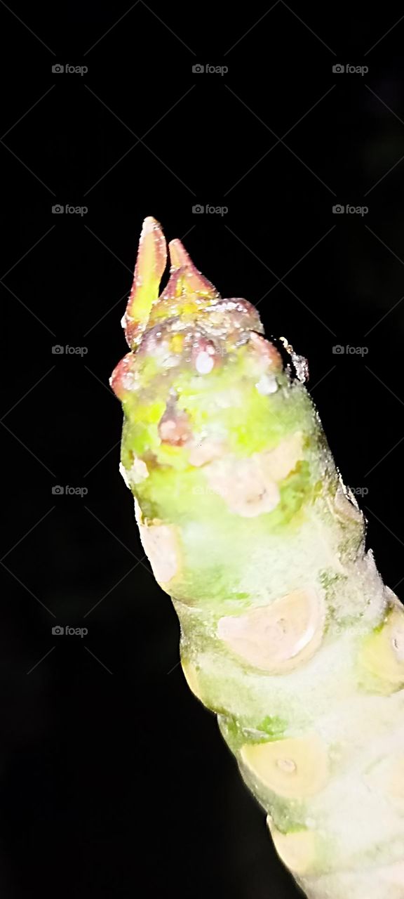 struggle is still going on, life is not easy as it seems to be.