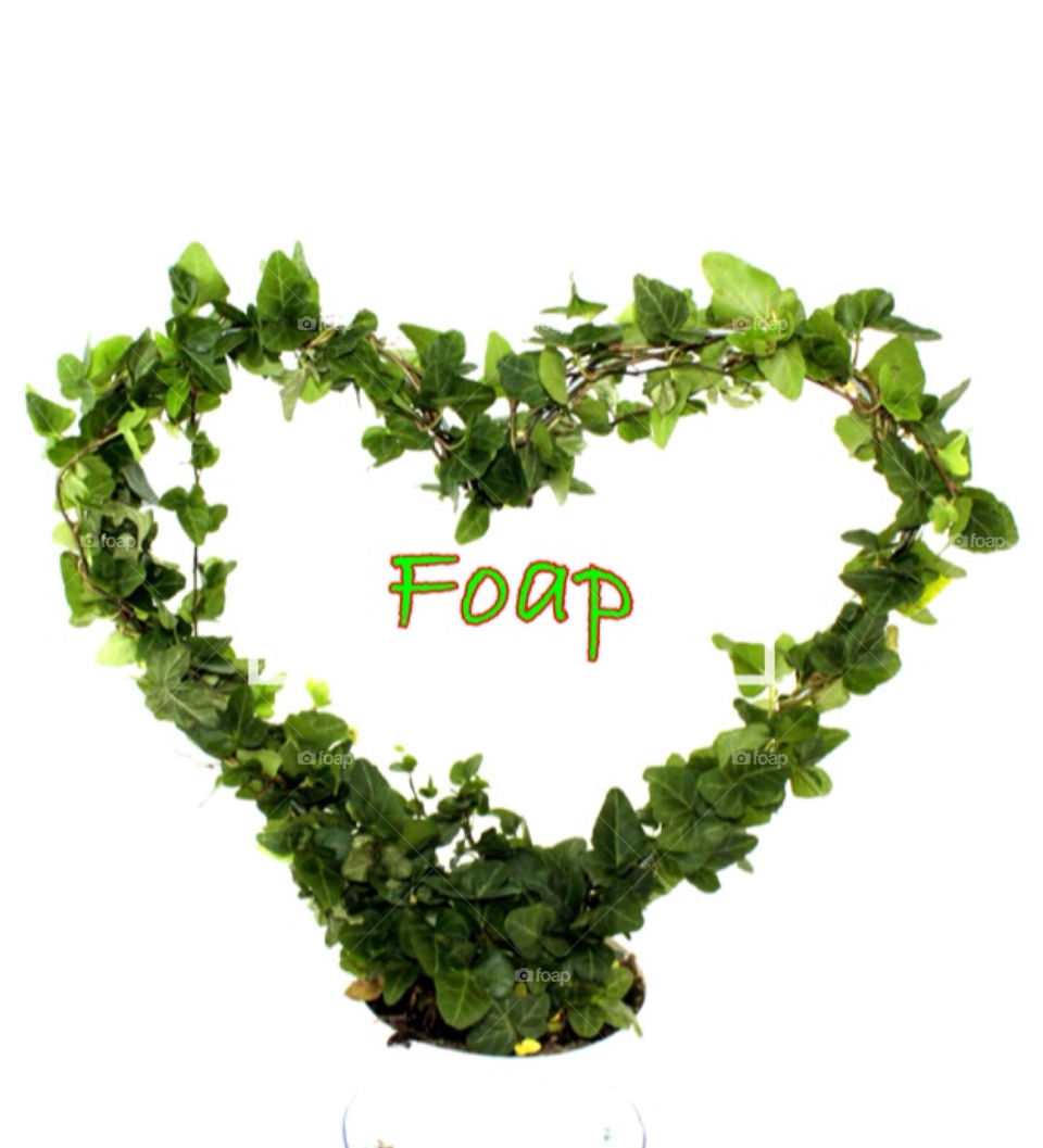 Foap