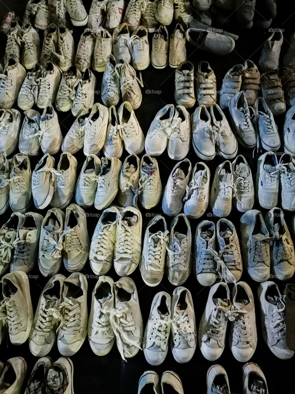Shoes on display